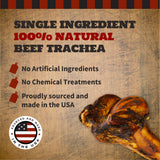 Beef Dino Bones - Halloween Coffin Box