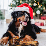 Beef Dino Bones - Holiday Box