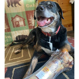Jumbo Bones (Beef)