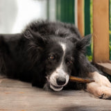 Bully Sticks Large
