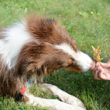 Chicken Feet