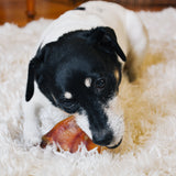 Pig Ears Premium - 5 Pack