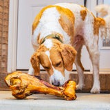 Beef Dino Bones - 2 Pack
