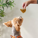 Turkey Shaped Turkey Blend Patties - 6 Count