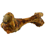 Pork Dino Bone - Halloween Coffin Box