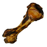 Beef Dino Bones - Halloween Coffin Box