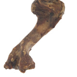 Pork Dino Bone