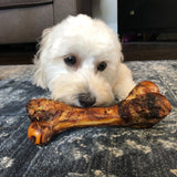 Pork Bone