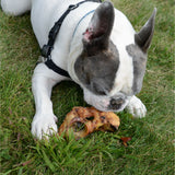 Pork Roast Bone