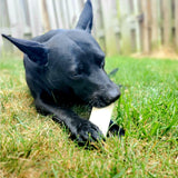 Prime Rib Flavor Filled Bone