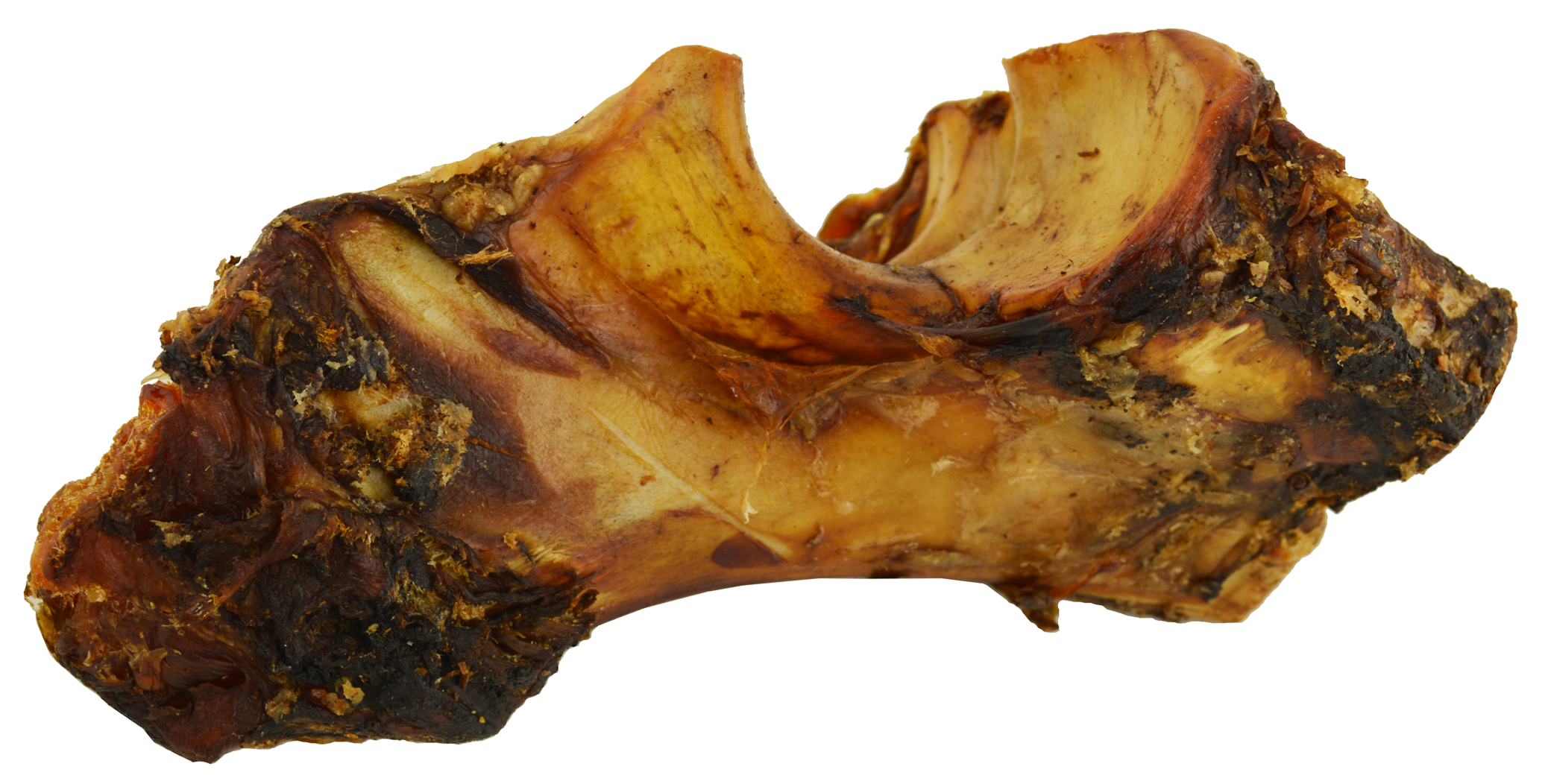 Elbow Beef Bone - Image 2