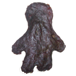 Beefy Patty Crackers